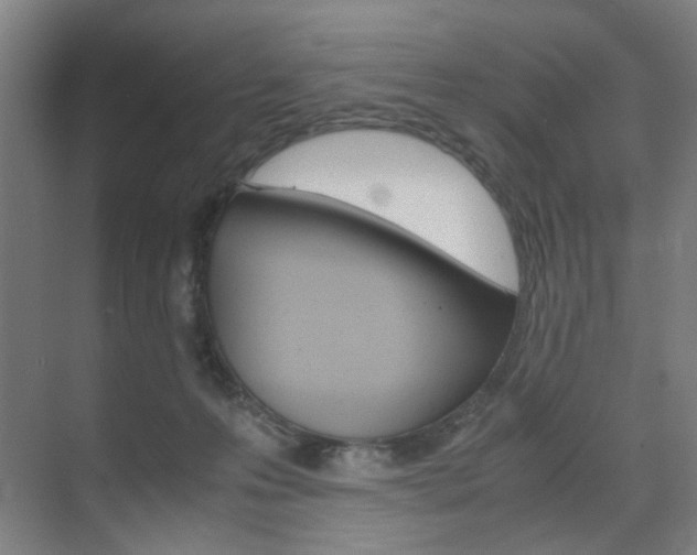 X0000071840223200606301112
