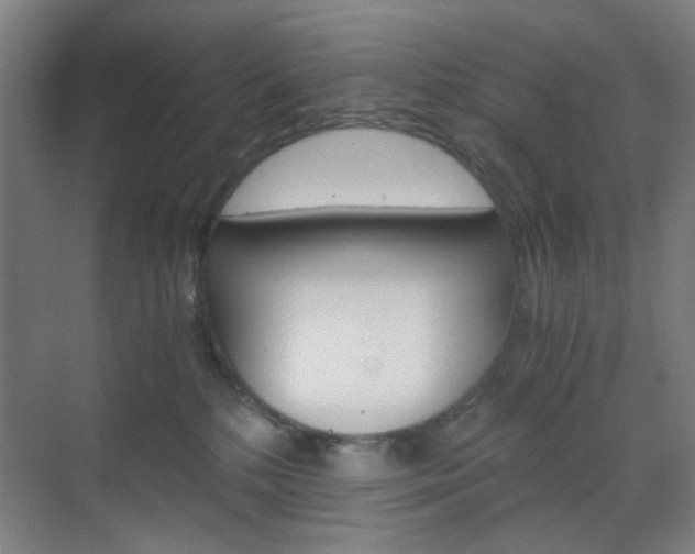 X0000071840232200606301112