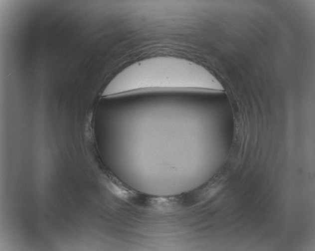 X0000071840239200606301112