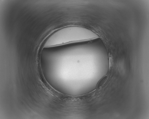 X0000071840243200606301111