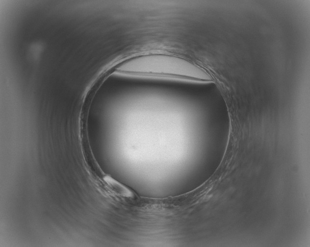X0000071840244200606301111