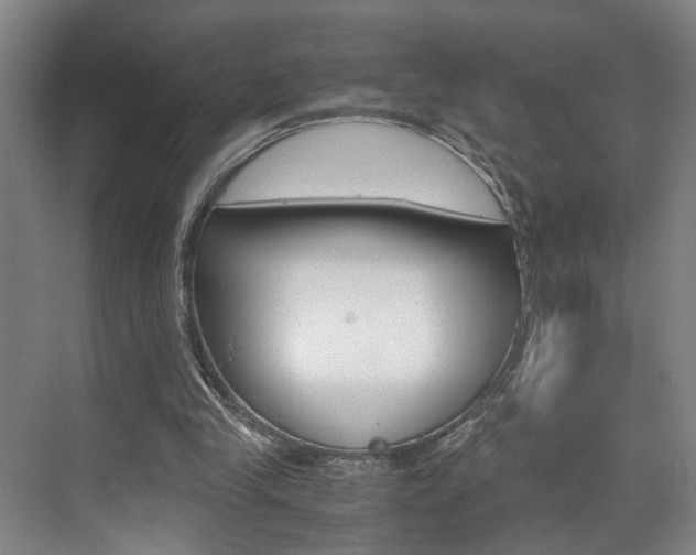 X0000071840245200606301111