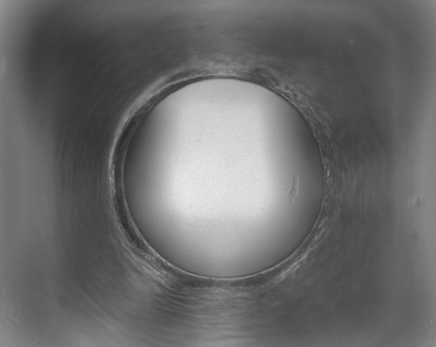 X0000071840246200606301111