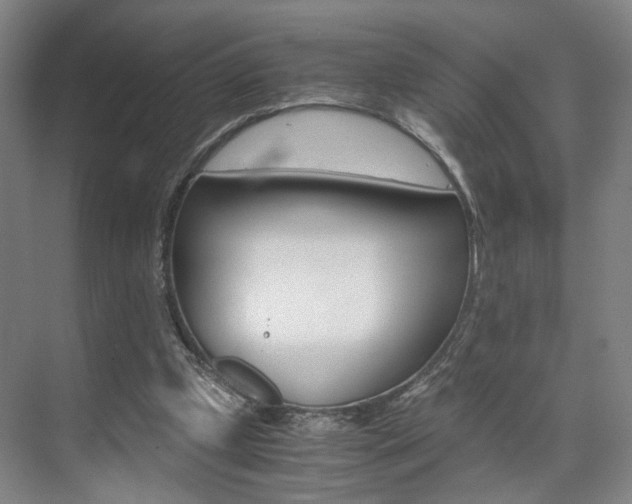 X0000071840249200606301111