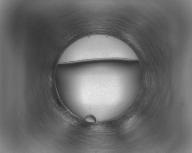 X0000071840259200606301111