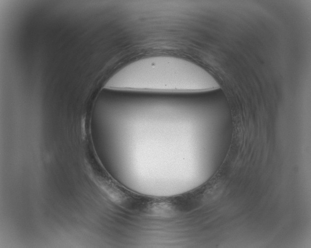X0000071840262200606301111