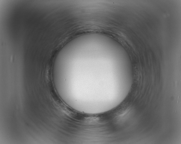 X0000071840266200606301111