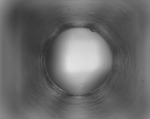 X0000071840268200606301111