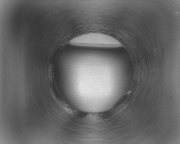 X0000071840280200606301111