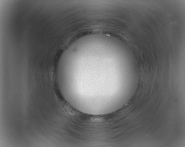 X0000071840283200606301112