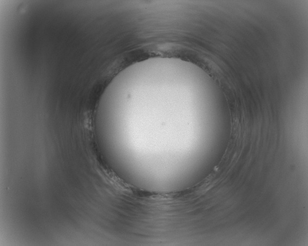 X0000071840284200606301112