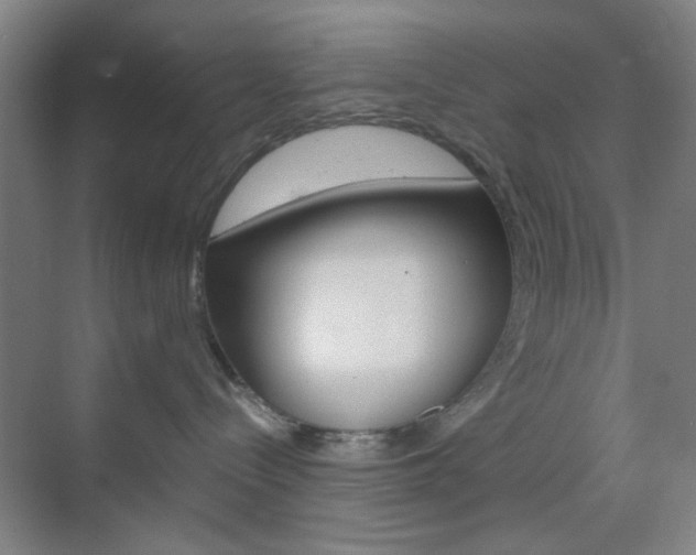 X0000071840288200606301112