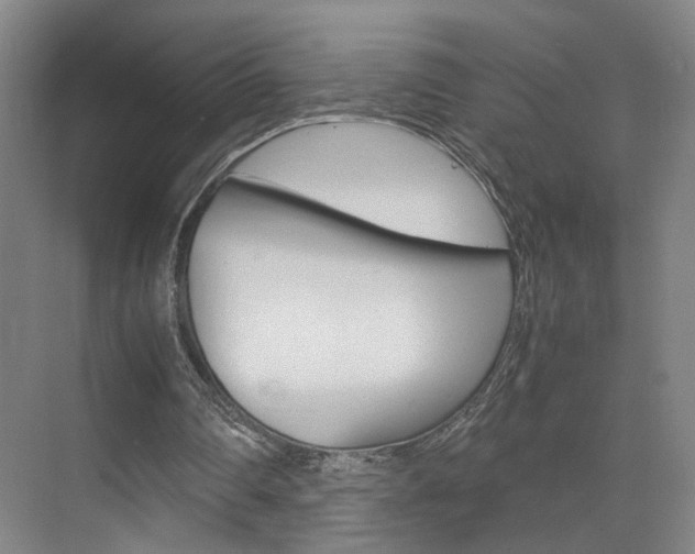 X0000071840290200606301111