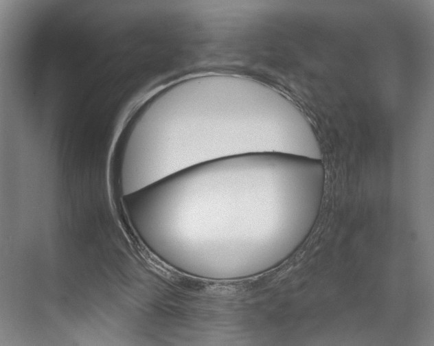 X0000071840294200606301111