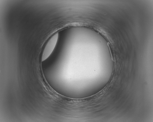 X0000071840297200606301111
