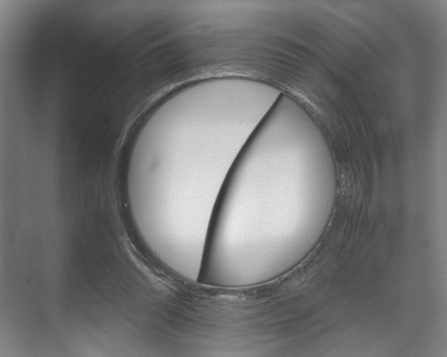 X0000071840302200606301111