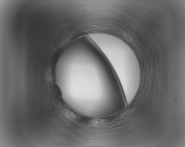 X0000071840317200606301110