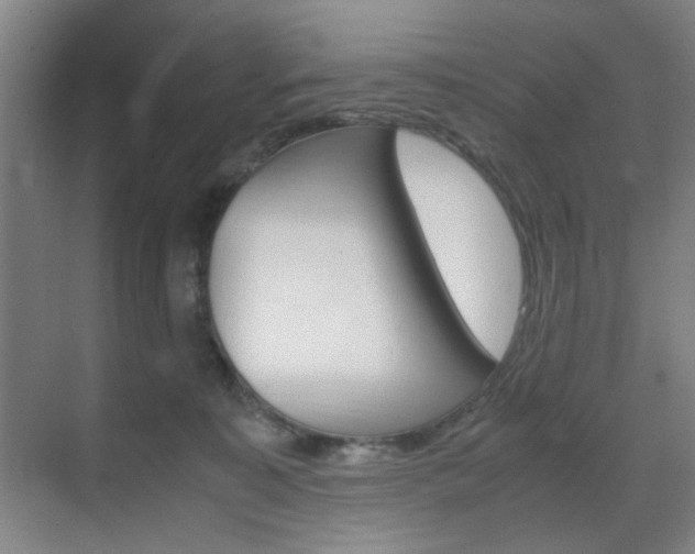 X0000071840323200606301110