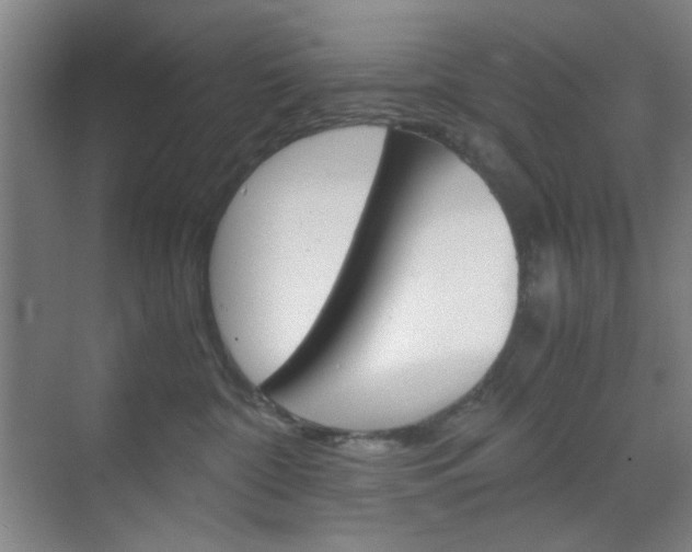 X0000071840332200606301110