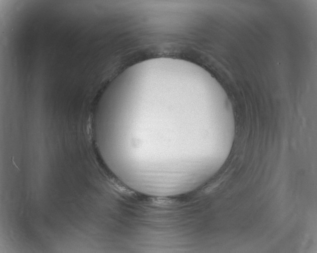 X0000071840336200606301110