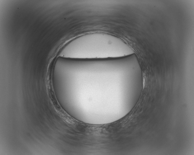 X0000071840339200606301109