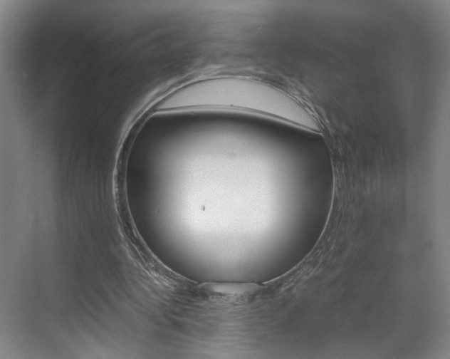 X0000071840340200606301109