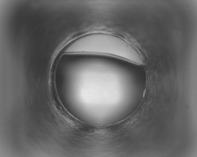 X0000071840344200606301109
