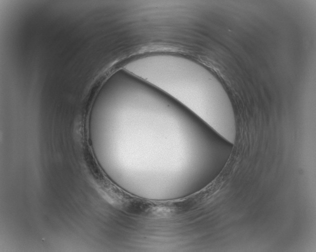 X0000071840352200606301109