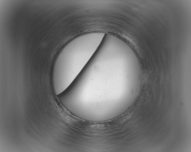 X0000071840353200606301109