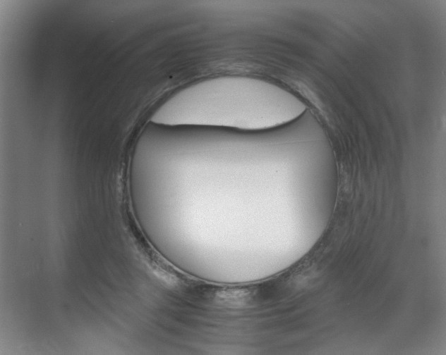 X0000071840357200606301110