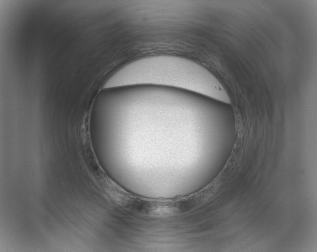 X0000071840360200606301110