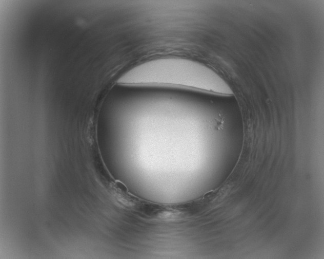 X0000071840364200606301110