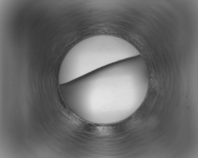 X0000071840371200606301110