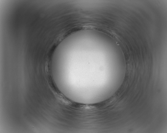 X0000071840379200606301110