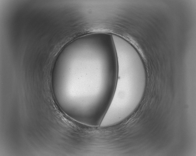 X0000071840385200606301109
