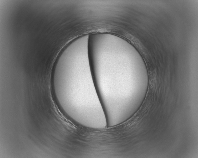 X0000071840386200606301109