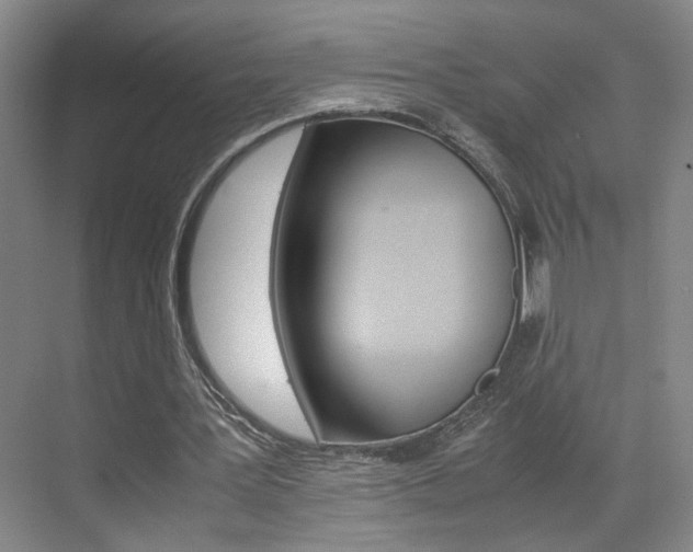 X0000071840387200606301109