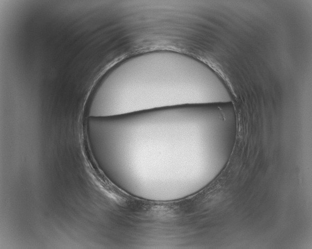 X0000071840390200606301109