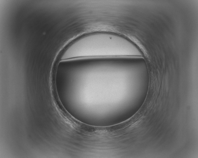X0000071840391200606301109