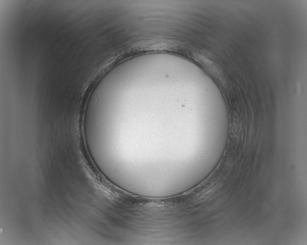 X0000071840394200606301109