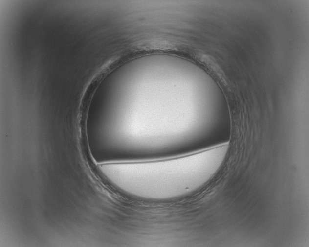 X0000071840395200606301109