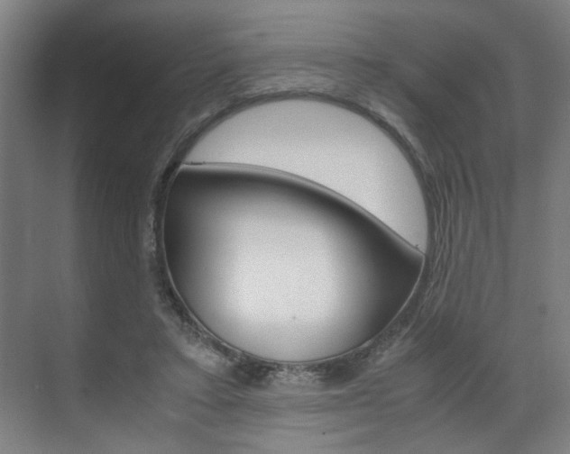 X0000071840403200606301109