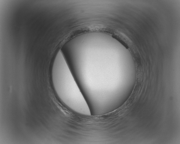 X0000071840405200606301109