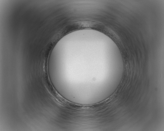 X0000071840406200606301109
