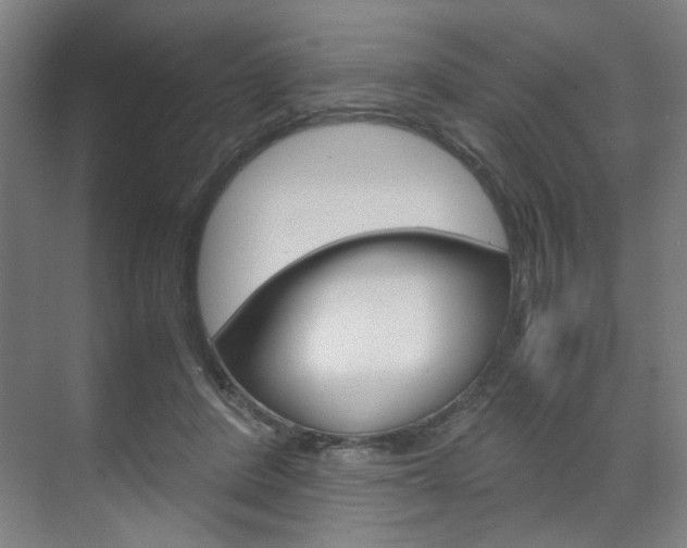 X0000071840408200606301109