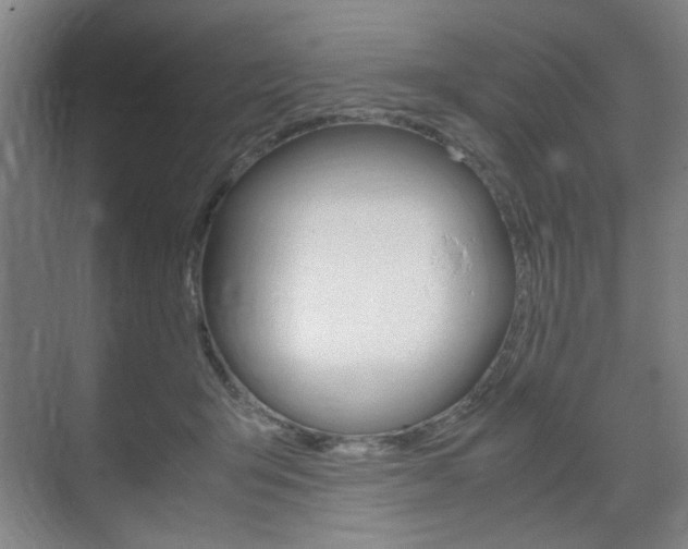 X0000071840415200606301109