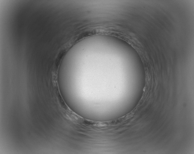 X0000071840419200606301109
