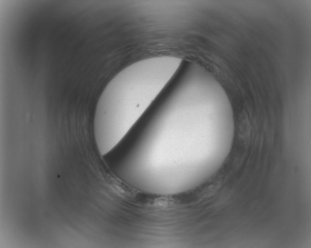 X0000071840420200606301109
