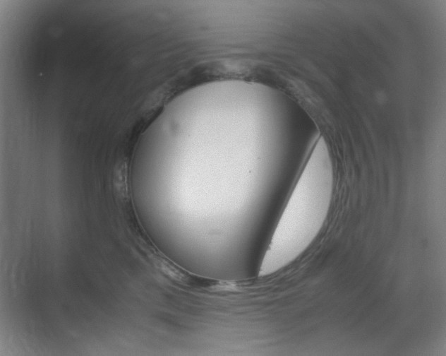 X0000071840425200606301109