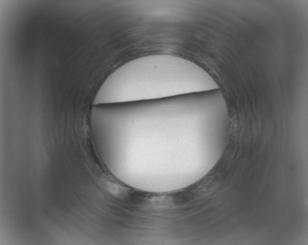 X0000071840426200606301109
